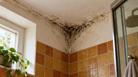 Angle de salle de bain avec traces d'humidité sombres dans le plafond